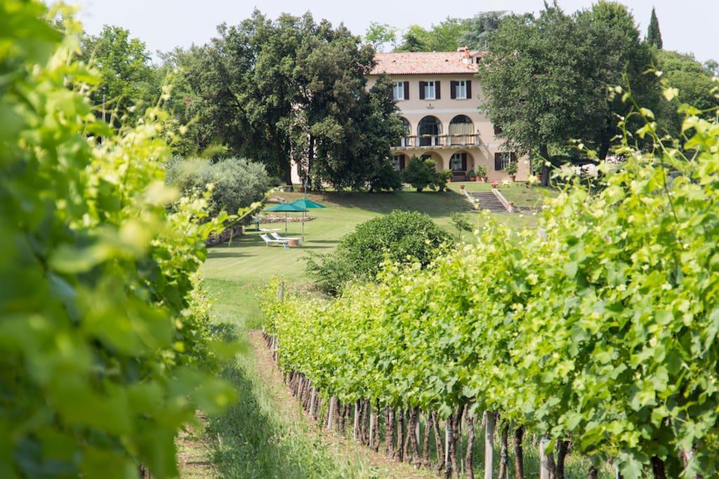 Villa Marani Rovolon Exteriér fotografie